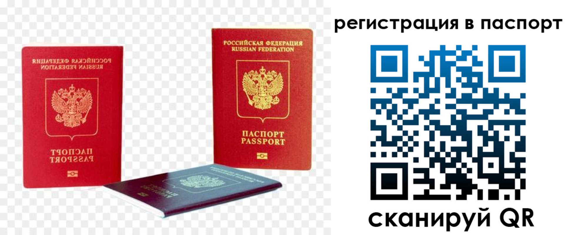 временная регистрация поиск в Бакале